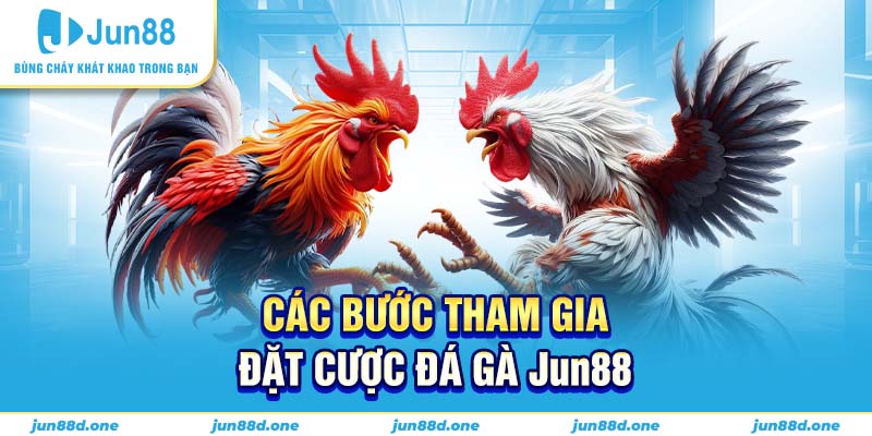 Các bước tham gia đặt cược đá gà Jun88